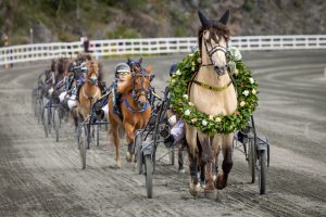 Event fotograf arendal